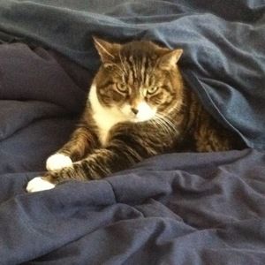 Meet your Posher, Rachel