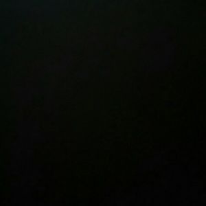 Meet your Posher, Daisy