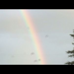 Meet your Posher, Nicki