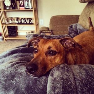 Meet your Posher, Kelsey