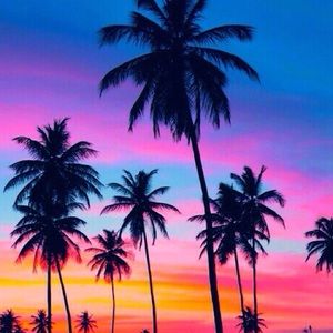 Meet your Posher, Aimee