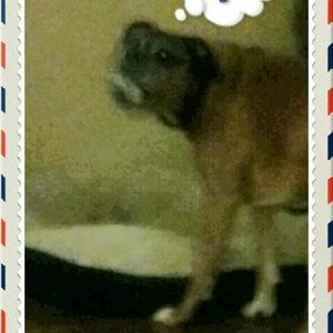 Meet your Posher, Denise