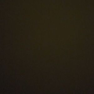 Meet your Posher, Bailey