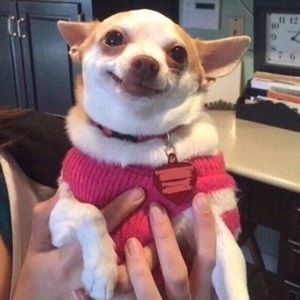 Meet your Posher, Adora