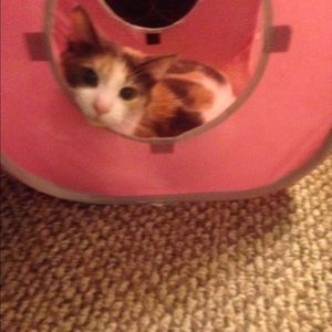 Meet your Posher, Kimberly