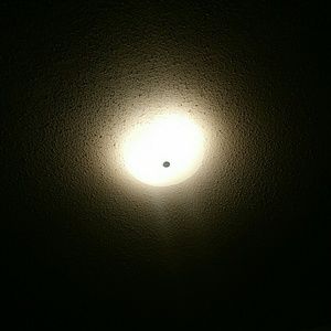 Meet your Posher, Erick