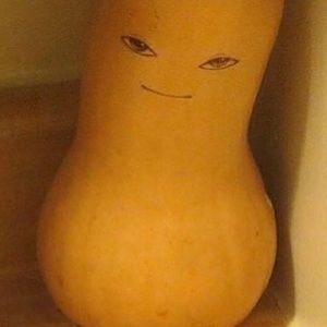 Meet your Posher, Allan