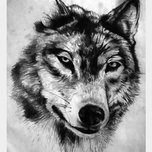 Meet your Posher, Dyana