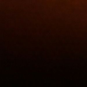 Meet your Posher, Dora