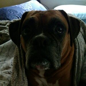 Meet your Posher, Kourtnie