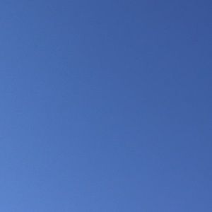 Meet your Posher, Gloria