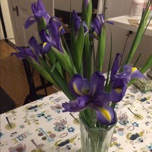 Meet your Posher, Joy