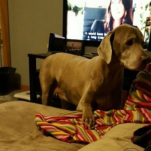 Meet your Posher, April