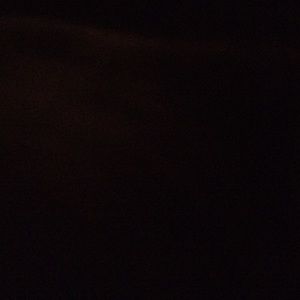 Meet your Posher, Shamika