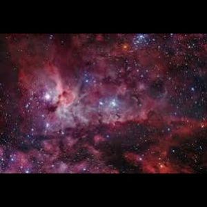 Meet your Posher, Marisol