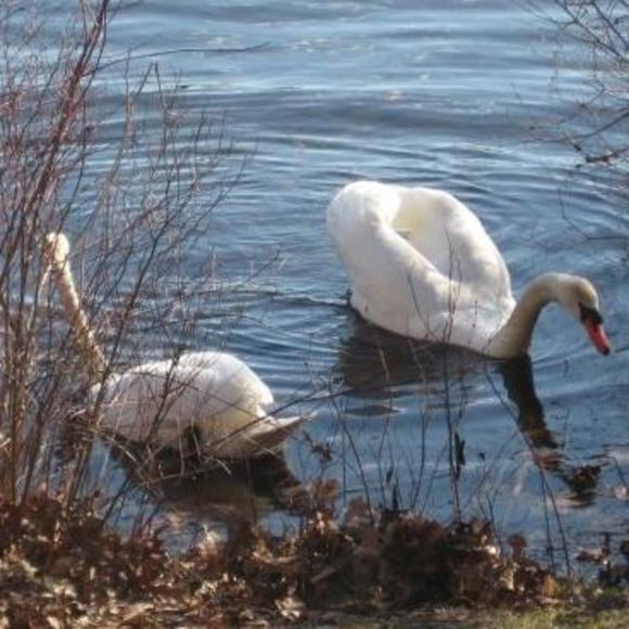 Meet your Posher, Kara