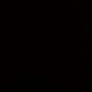 Meet your Posher, Baylee