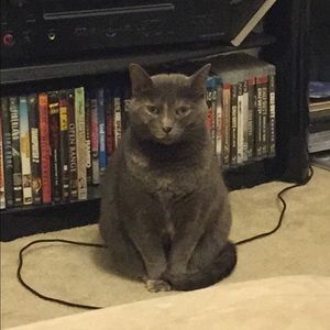 Meet your Posher, Mae