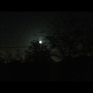 Meet your Posher, Nasim