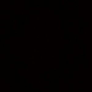 Meet your Posher, Selene