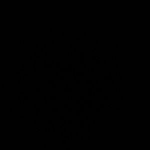 Meet your Posher, Tania