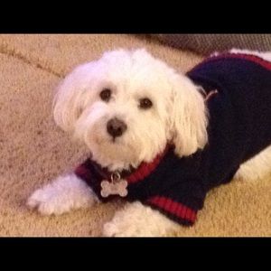 Meet your Posher, Jeffrey