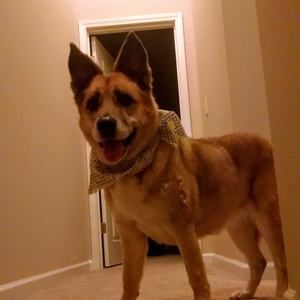 Meet your Posher, Lori