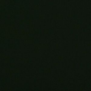 Meet your Posher, Lexi