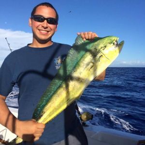 Meet your Posher, Luiz