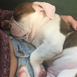 Meet your Posher, Stephanie