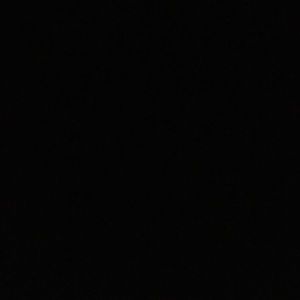 Meet your Posher, Shay