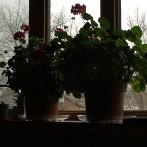 Meet your Posher, Jen