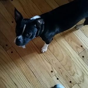 Meet your Posher, Leah