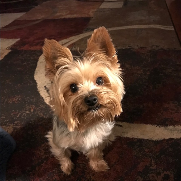 Meet your Posher, Sommer - Picture 9 of 13