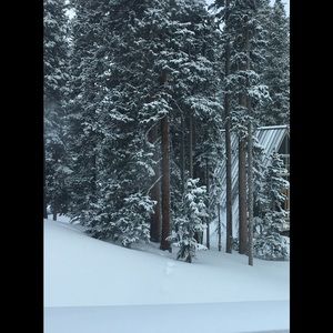 Meet your Posher, Nat