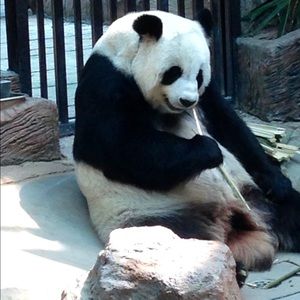 Meet your Posher, Mike