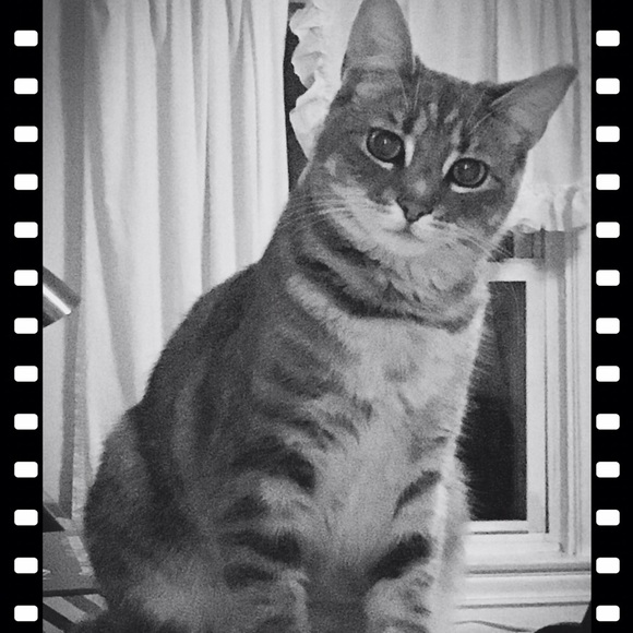 Meet your Posher Buyer/Seller, @Chickikay - Picture 5 of 6