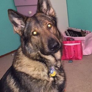 Meet your Posher, Anna