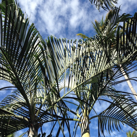 Meet your Posher, Christine - Picture 3 of 5