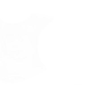 Meet your Posher, Ariel