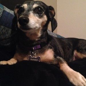 Meet your Posher, Greg