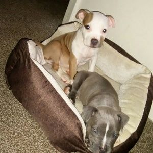 Meet your Posher, Melanie