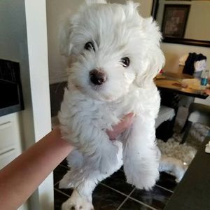 Meet your Posher, Lorena