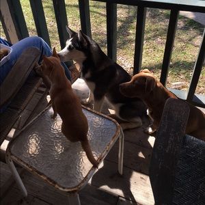 Meet your Posher, Mallory