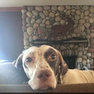 Meet your Posher, Bryce