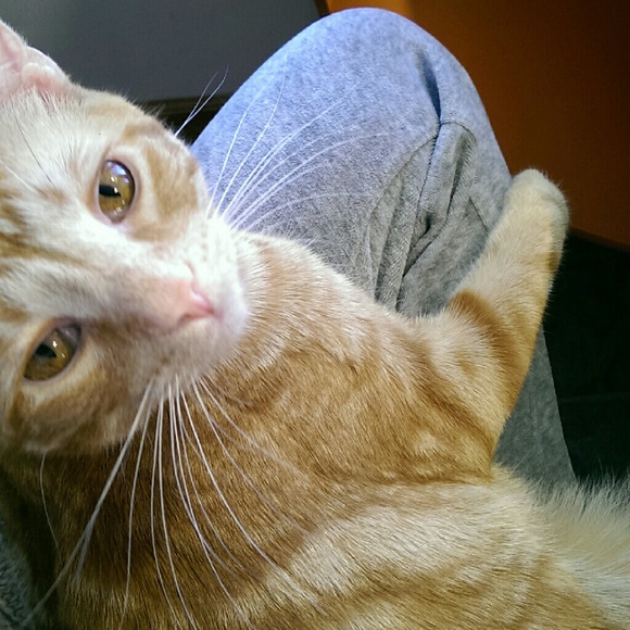 Meet your Posher, Erin - Picture 3 of 3