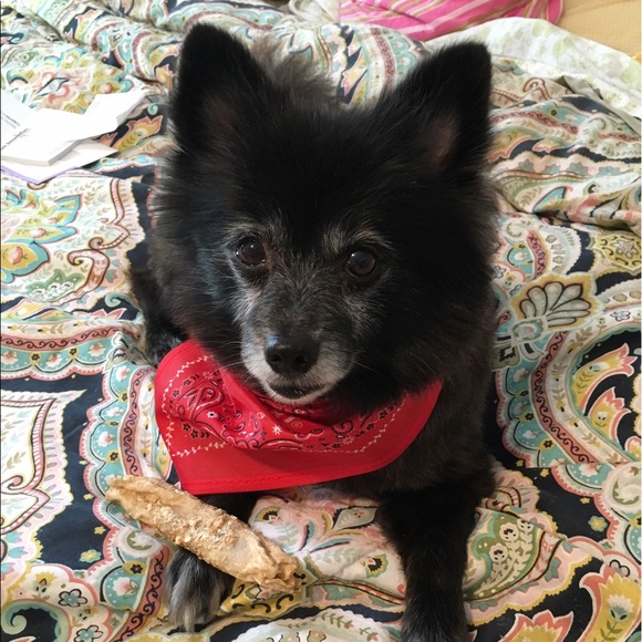 Meet your Posher, Lisa - Picture 3 of 4