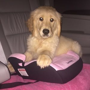 Meet your Posher, Julia