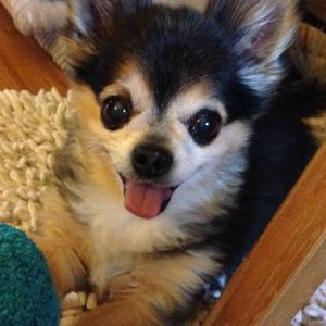 Meet your Posher, Mary kathren