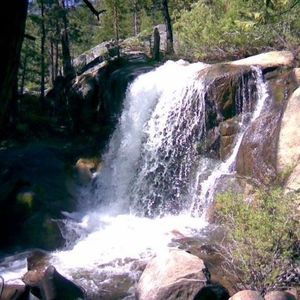 Meet your Posher, Wendy